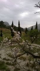 Terreny residencial a Benissa Pueblo