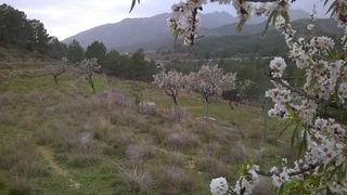 Residential Plot in Benissa Pueblo