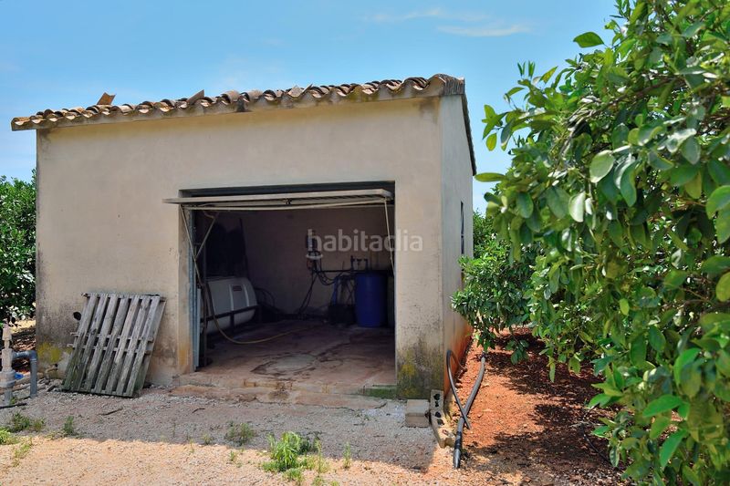 Foto ff6cc5f8-8a47-4f83-b24c-b8ae18df3392. Masia a Centro Pedreguer