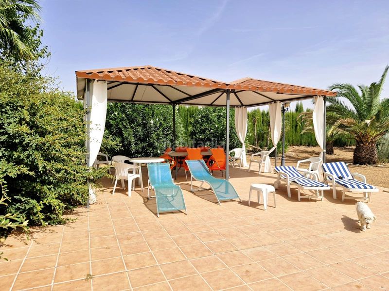 Foto 56bd1d2a-4789-460d-bccd-f67007973ed9. Finca rústica a Pozuelo de Calatrava