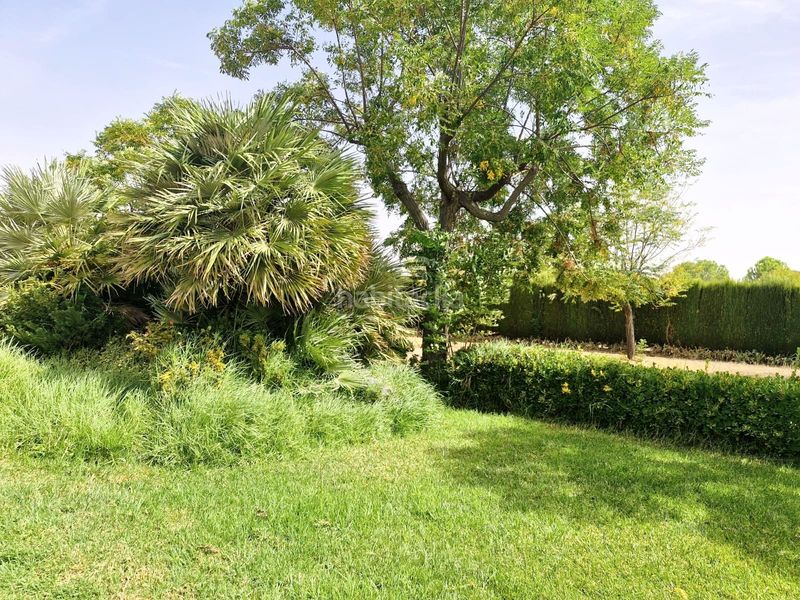 Foto d51e84ab-aed9-4feb-8e67-6077f0a9a304. Finca rústica a Pozuelo de Calatrava