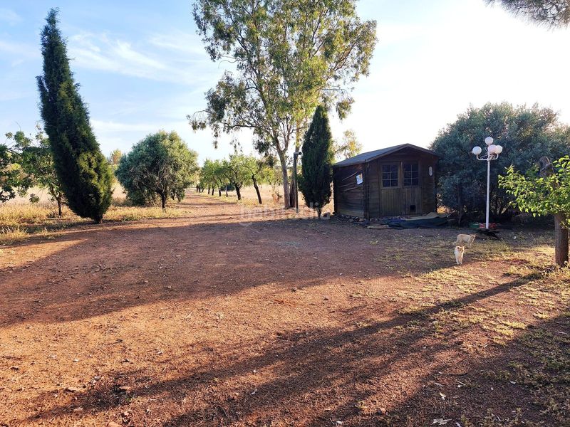 Foto 5de1a270-fbf3-48e0-89b9-5c9399663b7b. Casa a Área Rual - Valverde - Las Casas Ciudad Real