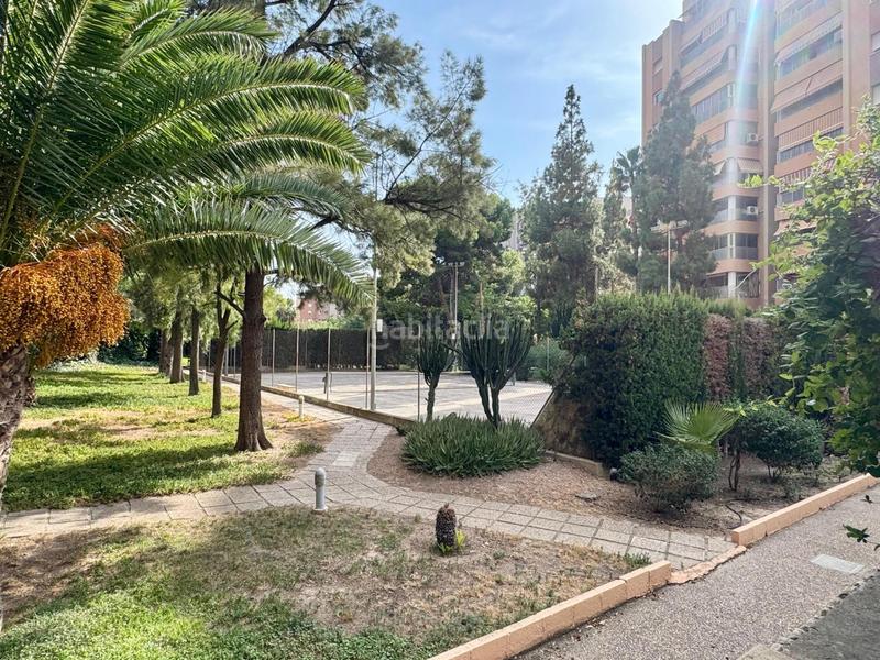 Foto afe3927c-2a0c-4589-97b2-b276c105cc9a. Pis amb aparcament piscina a San Blas Alicante