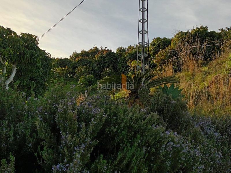 Foto c4568140-cf1e-490b-9589-fabe512084ff. Bauernhof mit pool in Cútar