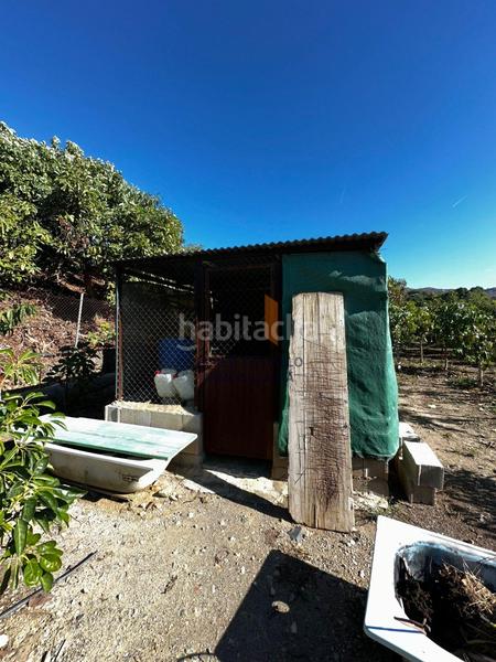 Foto 75c12416-01e9-4803-bab5-a6440f1c1393. Casale con parcheggio piscina in Norte - Barrio del Pilar - El Reñidero Vélez - Málaga