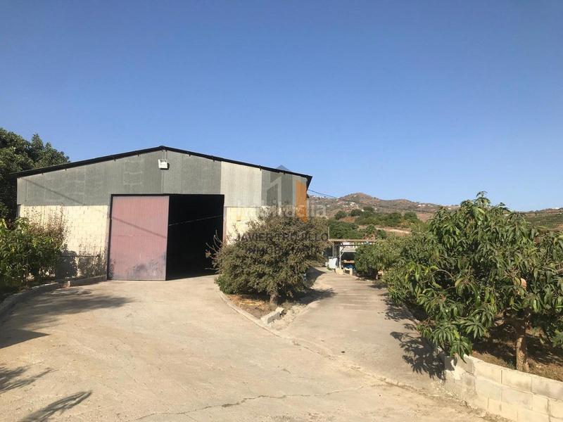 Foto aa3d6bc5-e16b-4cac-a6d1-878f3f49459c. Casale con parcheggio piscina in Norte - Barrio del Pilar - El Reñidero Vélez - Málaga