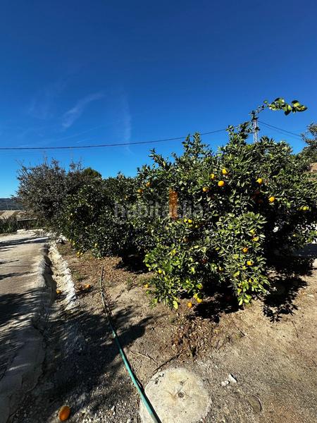 Foto b0940c21-79ce-465d-b932-8f4d650cd0e7. Casale con parcheggio piscina in Norte - Barrio del Pilar - El Reñidero Vélez - Málaga
