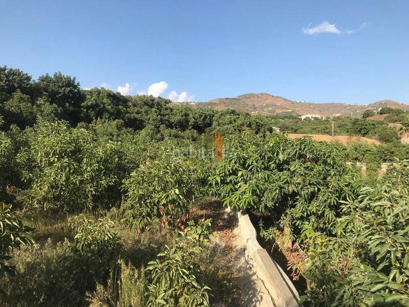 Foto 1de27e67-09a6-4fd1-9b97-d6fc4be5ac0c. Country house with parking pool in Norte - Barrio del Pilar - El Reñidero Vélez - Málaga