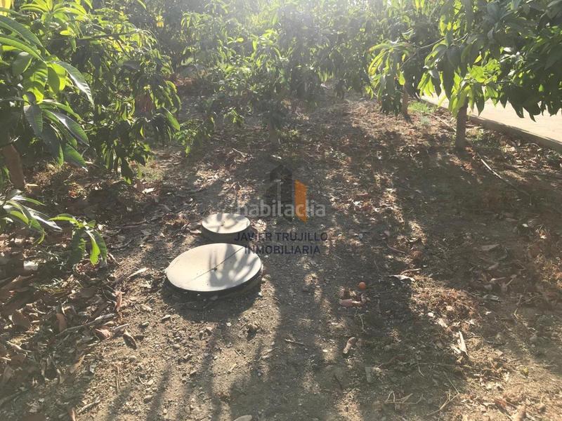 Foto 347972c2-874e-4aa1-8294-e9dd8b41f883. Country house with parking pool in Norte - Barrio del Pilar - El Reñidero Vélez - Málaga