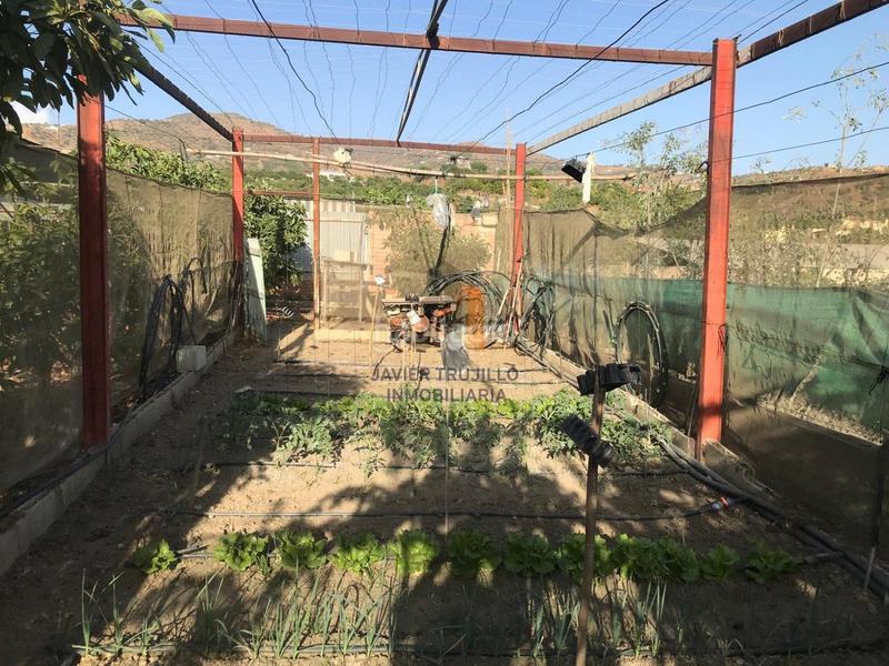 Foto 8edbc618-3b3b-46cf-84fb-2c7d584538bf. Country house with parking pool in Norte - Barrio del Pilar - El Reñidero Vélez - Málaga