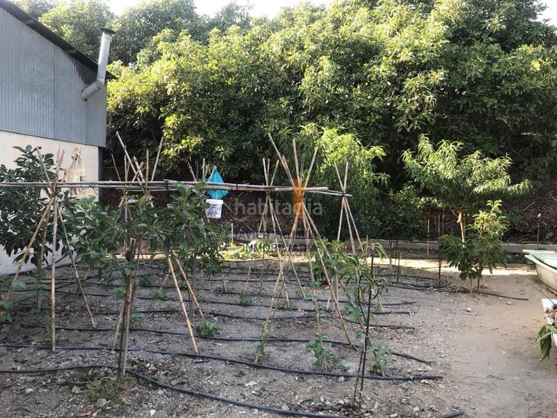 Foto 918b4d04-b461-4f5e-8b4b-aade82d0d098. Country house with parking pool in Norte - Barrio del Pilar - El Reñidero Vélez - Málaga