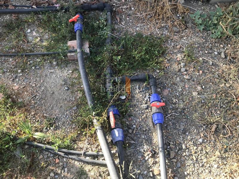 Foto 97563cd7-1a98-4708-bbfb-f58d8bf6222c. Country house with parking pool in Norte - Barrio del Pilar - El Reñidero Vélez - Málaga