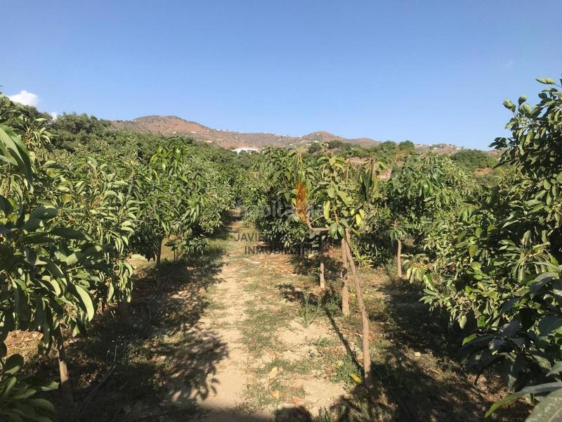 Foto aed54174-6300-4988-9cb4-78d743fca975. Country house with parking pool in Norte - Barrio del Pilar - El Reñidero Vélez - Málaga