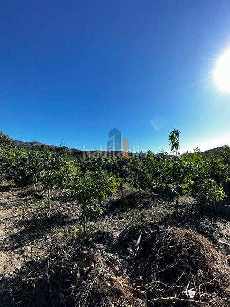 Foto deb3a4cc-9b8d-495c-81f8-ead6351cacea. Country house with parking pool in Norte - Barrio del Pilar - El Reñidero Vélez - Málaga