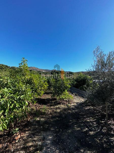 Foto 026fb7ab-59ff-4ff5-a4aa-ff557dfb884d. Masía en Norte - Barrio del Pilar - El Reñidero Vélez - Málaga