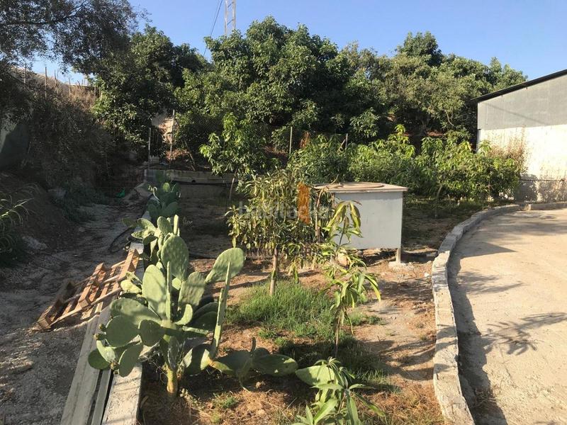 Foto 8e1a8920-a647-457b-b2ef-33ab8350598b. Masía en Norte - Barrio del Pilar - El Reñidero Vélez - Málaga