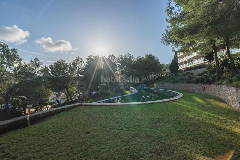 Foto 28f064c4-bf95-498e-9247-62ed8dbb6efa. Appartement dans ramón montcada 37 dans Costa de la Calma Calvià