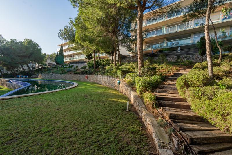 Foto b05534bd-7ee6-44b5-b01d-15bbba00f6fc. Flat in ramón montcada 37 in Costa de la Calma Calvià