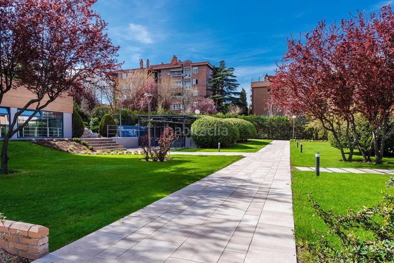 Foto c25e7245-1590-4fdd-9823-3d51771b1817. Miete studiowohnung in torrecilla del puerto 5 in Madrid