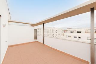 Pis a Francisco salzillo 7 2