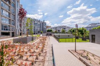 Location Appartement à Jacobeo 66