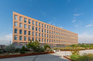 Rent Flat in Honduras 17 17