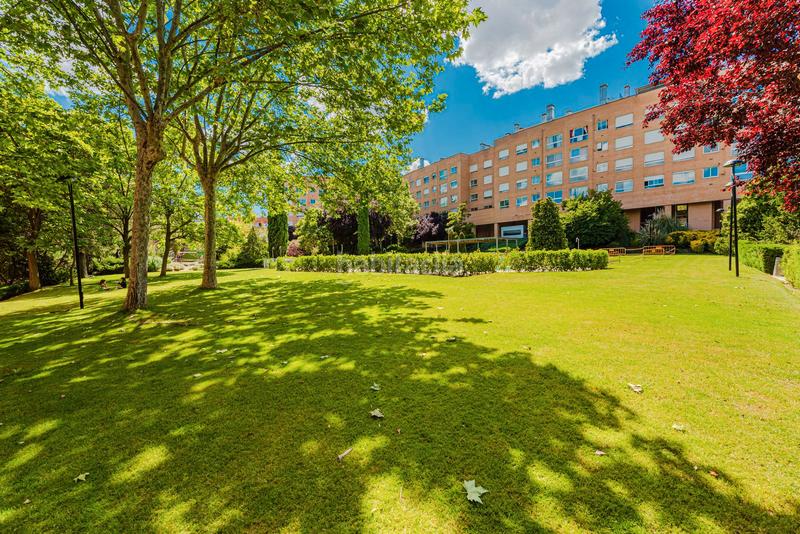 Foto 2056c680-b11f-4eb9-87b3-5e6bd2f1f2e3. Alquiler piso en de papa negro 20 en Conde Orgaz - Piovera Madrid