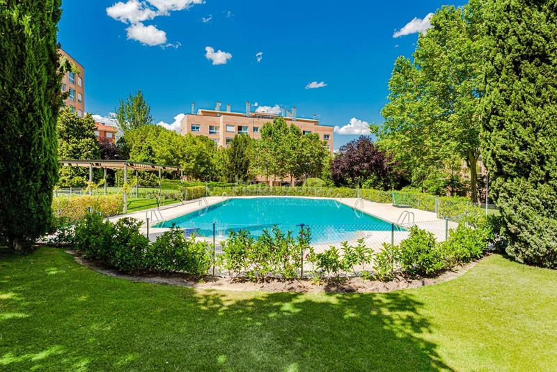 Foto 833b02b1-4a23-48fd-9c10-a69c775c4907. Affitto appartamento in esteban palacios 6 in Conde Orgaz - Piovera Madrid