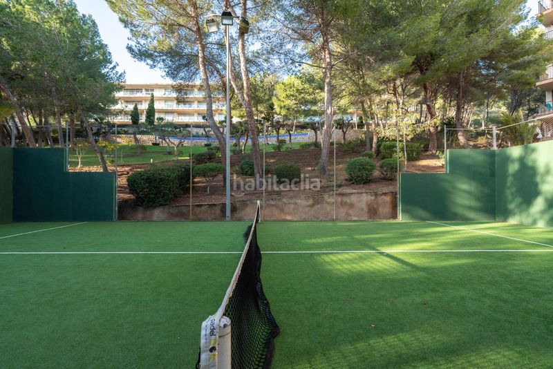 Foto b3a7ceb4-b9b2-44bd-a8c0-05325c4e6ec0. Piso en Costa de la Calma Calvià