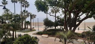 Appartement in Parque Central