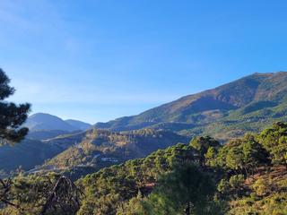 Terreno residencial en Benahavís pueblo