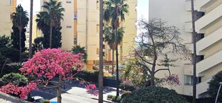 Apartment in Casco Antiguo