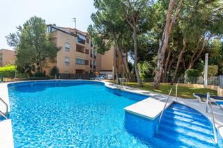 Apartamento en Casco Antiguo
