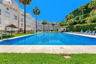 Apartament a Casco Antiguo