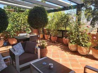 Apartment in Casco Antiguo