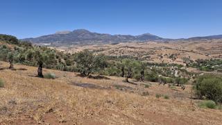 Terreny residencial a Coín