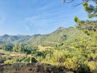Terreno residencial en Benahavís pueblo
