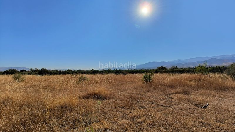 Foto 08fa0778-b87e-44a0-a308-1e64425cf4d4. Finca rústica a Villa de Otura
