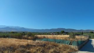 Finca rústica a Aljancira