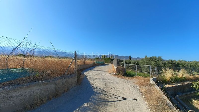 Foto 91fb5fb6-536f-43e9-b798-17d3119ce9e7. Finca rústica a Villa de Otura