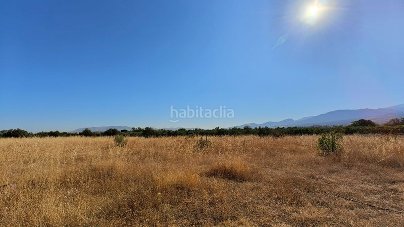Foto 952fa973-6555-4304-ade3-825564e92b64. Finca rústica a Villa de Otura