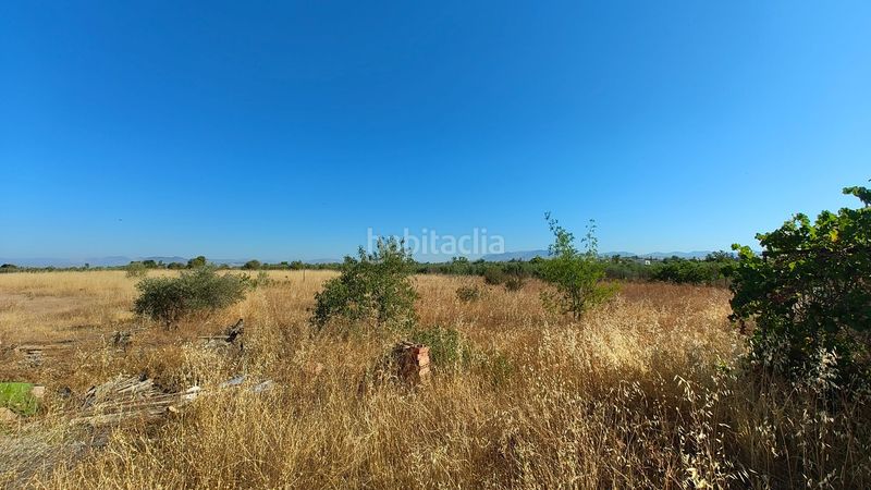 Foto a31ee527-2348-4bb8-b8ec-adb72f03a536. Finca rústica a Villa de Otura