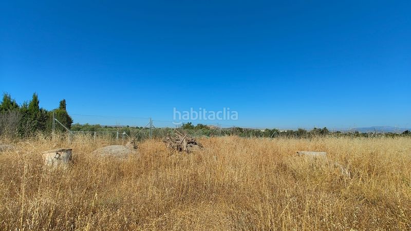 Foto b8883b68-bd63-4631-8ce7-3e488ac38d32. Finca rústica a Villa de Otura