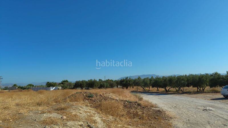 Foto ba66d2f8-1b50-482f-8169-3646152bdf7d. Finca rústica a Villa de Otura