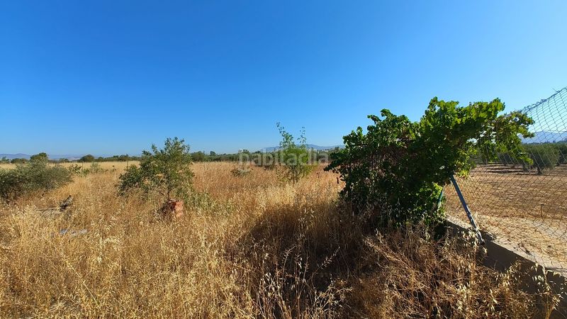 Foto cfdc1f46-5e62-4386-b193-dd83550ac92d. Finca rústica a Villa de Otura
