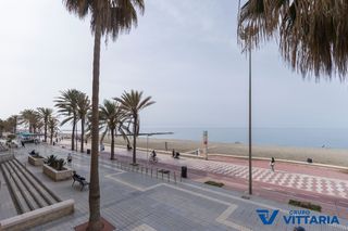 Pis  Calle las conchas. ¡piso en primera línea de playa en el zapillo!