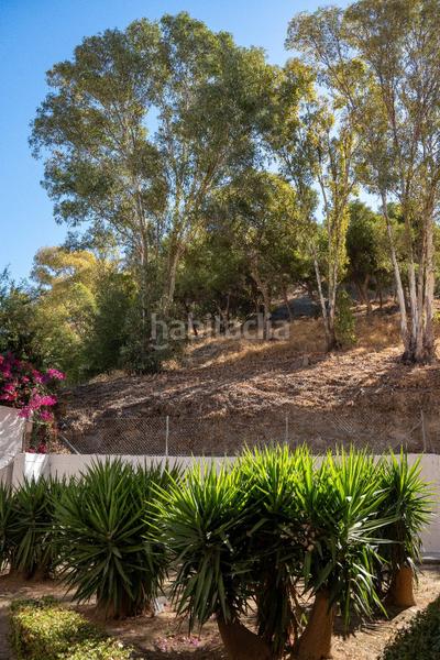 Foto c7a35f37-b3d5-474f-bed1-fda3a52ed61e. Apartament amb calefacció aparcament a Centro Histórico Málaga