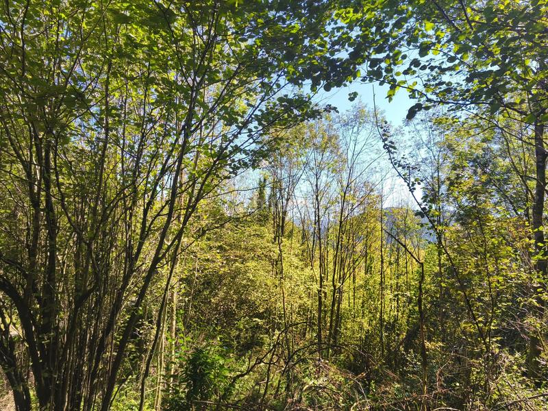 Foto dff3a804-bc04-42fa-be0f-68c855597b2f. Chalet mit heizung in Elorrio