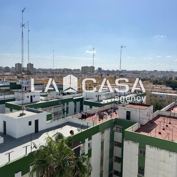Foto 9e7ee330-f2c8-4802-902e-064a00719c99. Pis a El Torrejón - El Cerezo Sevilla