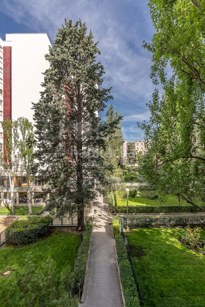 Foto efc33784-e3ab-46f9-8bce-1629f97b5fc6. Pis amb calefacció a Lucero Madrid